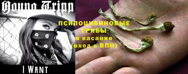 прущая мука Нея