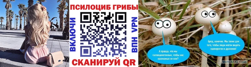 Псилоцибиновые грибы мухоморы  Купить где  Талдом 