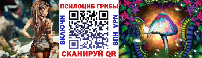 Галлюциногенные грибы ЛСД Талдом