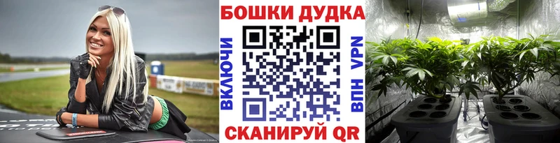 Бошки Шишки марихуана  Купить  Талдом 